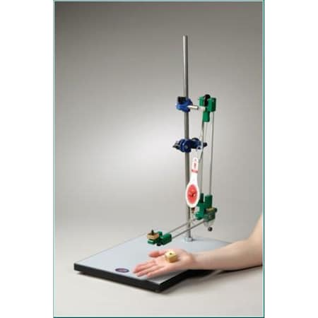 Anatomical Model, Biomechanical Arm Kit